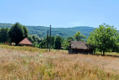 2500 mp TEREN INTRAVILAN MUNTII APUSENI, Negreni – Cluj, E60 - Mal Crisul Repede - 2