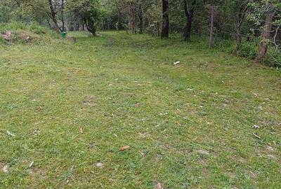 Teren de 1860 mp, în Valea Unghiului