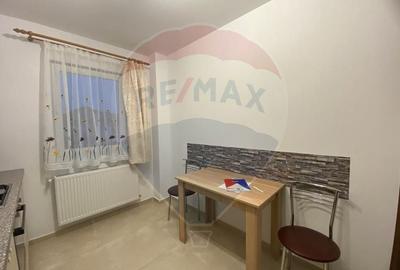 Apartament cu 2 camere prima inchiriere in Ghimbav Residence - 5