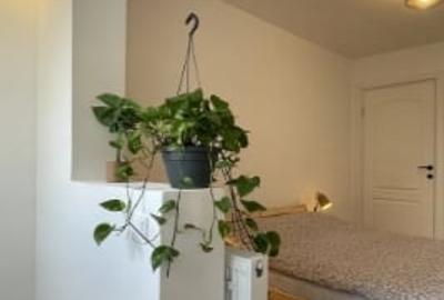 COLENTINA LACUL Tei,bl.reabilitat,ETAJUL 6/8 Amenajat,boiler,Liber - 6