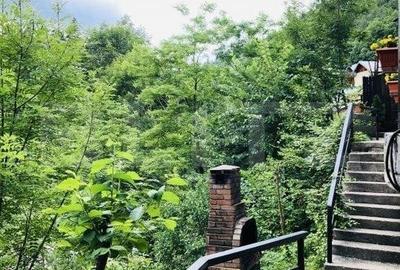 Resedinta cu destinatie de pensiune, 382mp utili si 1000mp teren, in Sinaia - 4