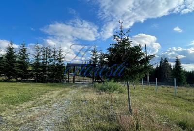 AFACERE LA CHEIE, Imobil turistic, 1.140mp utili + 2.450mp Teren - 3