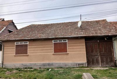 Casă cu 3 camere cu Teren 1500 Mp în Moșnița Nouă - 2