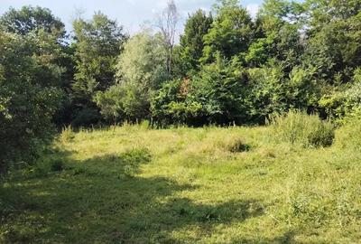 Vand casa batraneasca - 3