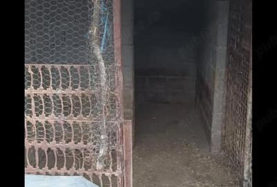 Casă cu 4 camere cu Teren 3500 Mp în Podgoria