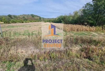 Teren intravilan 3835 mp, stradal, Babana - 1