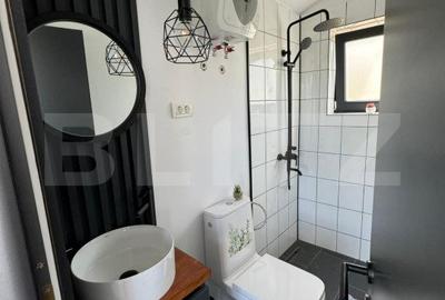 Cabana Tiny House, Sirnea - 8