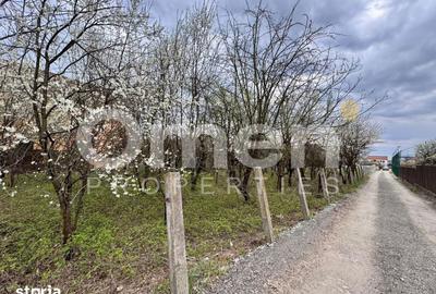 Teren de 800 mp, în Valea Borcutului - 4