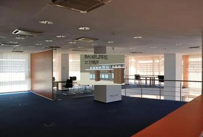 Birou, 290 mp în Cișmigiu - 3