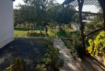 Casa de vanzare cu teren intravilan in Beregsaul Mic, jude?ul Timi? - 4