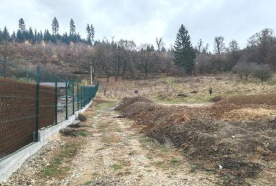 Investitie sigura: teren intravilan extrordinar, cu deschidere la padure - 2