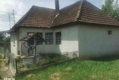 Casă cu 3 camere cu Teren 2000 Mp în Central - 8
