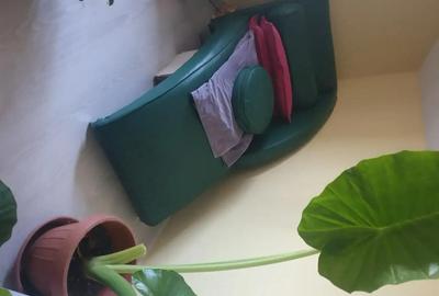Casă cu 3 camere cu Teren 272 Mp în Săcălaz - 4