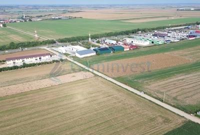 Gaminvest Teren intravilan de vanzare, 66400 mp, langa Oradea, Bihor ,V4117 - 13