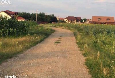 Teren de 3277 mp, în Snagov - 5
