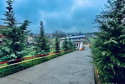 Spațiu comercial, de 320 mp, în Central - 10