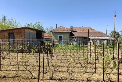 Casă cu 4 camere în Mitreni - 7