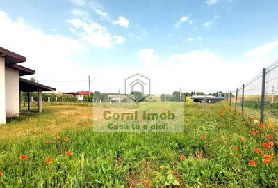 Casă cu 3 camere cu Teren 589 Mp în Dârvari - 14