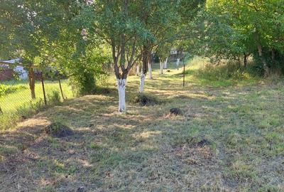 Spațiu comercial, în Corușu - 3