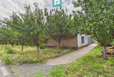 Teren de 1440 mp cu hala in Munar - 4