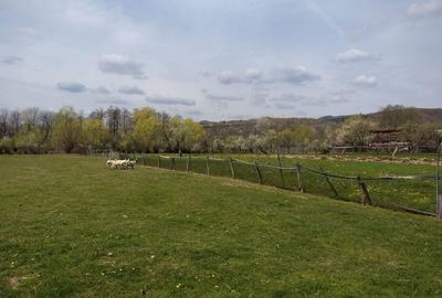 Spațiu comercial, în Radoși - 3