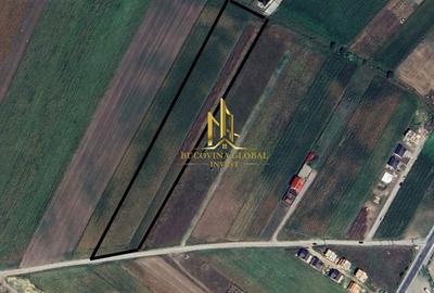 Teren de 12800 mp, în Șcheia