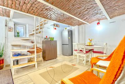 Casa renovata, semineu si terasa privata, Str.Nicopole - 10