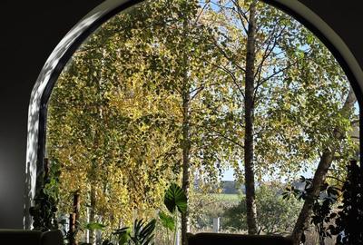 Casă individuală cu 5 camere cu Canalizare în Berceni - 34