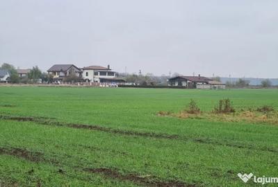 Teren de 3000 mp, în Brănești - 7