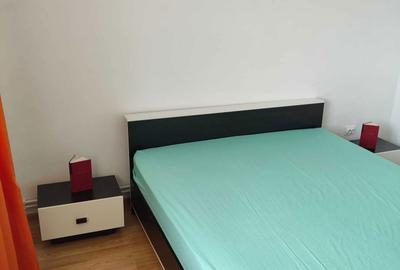Apartament cu 2 camere semidecomandat în Tilișca - 2
