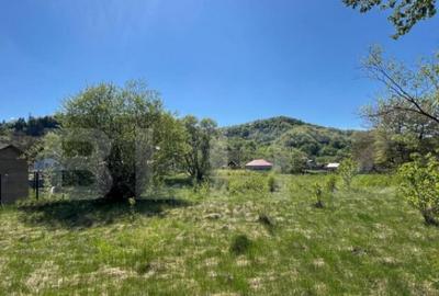 Teren de 30 ari de vanzare in Bistri?a Bargaului zo - 2