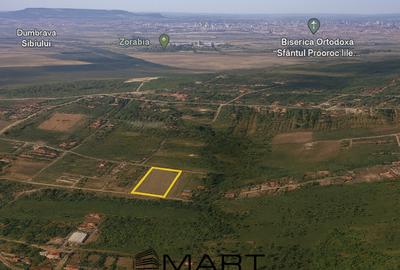 Teren de 8000 mp, în Daia - 2