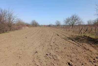 Teren intravilan 2400 mp in Afumati - 3