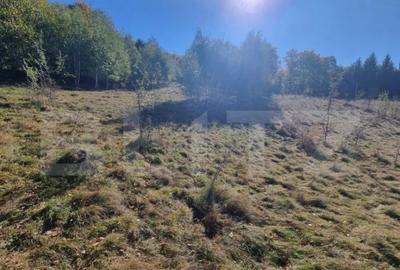 Teren de 2346 mp, în Poiana Mărului