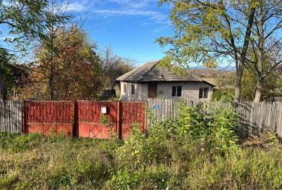 Vand casa in Berbesti. - 2