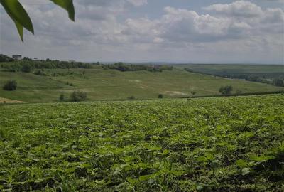 Teren intravilan de 2000 mp, în Moara Nica - 9