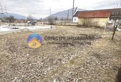 TEREN cu temelie ciment  PANGARATI - STEJARU - 5