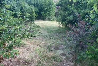 Casă cu Teren 2600 Mp în Periș - 1