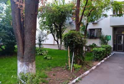 Aleea Cislau, Magazin Marius, Lidl - 3