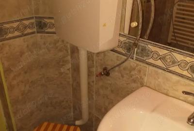 Dau in chirie casa in Cluj Napoca la 100 m de UMF IULIU HATIEGANU - 5