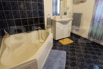 Spațiu comercial, de 230 mp, în Paltin - 12
