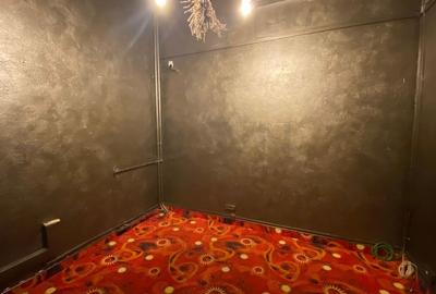 REC3000127 Spatiu Comercial cu vitrina la bulevard 300 mp Mihalache - 3