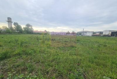 Teren intravilan de vanzare in Campina - 2