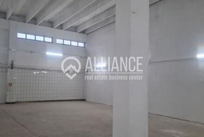 ZONA INDUSTRIALA (COD04)-Hala 270 mp ideal service auto - 6