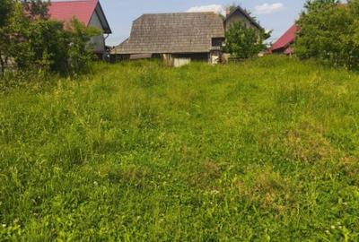 Casă cu 4 camere cu Teren 2600 Mp în Horodnic - 4