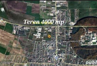 Teren de 4000 mp, în Sud - 2