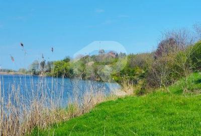 Spațiu comercial, în Săftica - 8