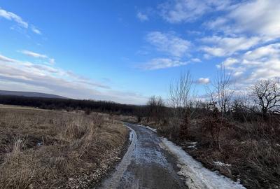 Spațiu comercial, în Central - 7