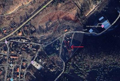 Comision 0% | 1.142 mp | Zona premium de vile - Dambul Morii, Brasov - 6