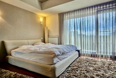 Apartament cu 4 camere semidecomandat, mobilat în Herăstrău - 3